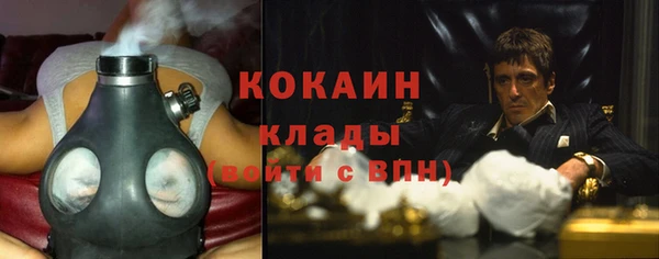 кокс Вяземский